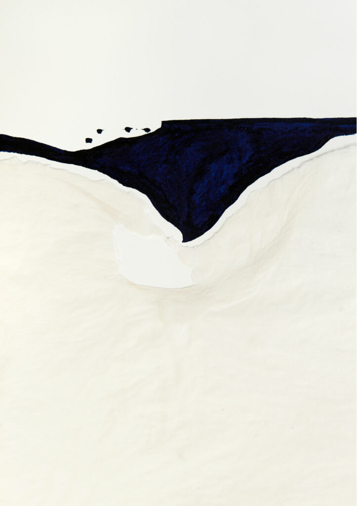 Miriam Salamander, paperwork, collage, blue watercolour on white handmade abaca paper
