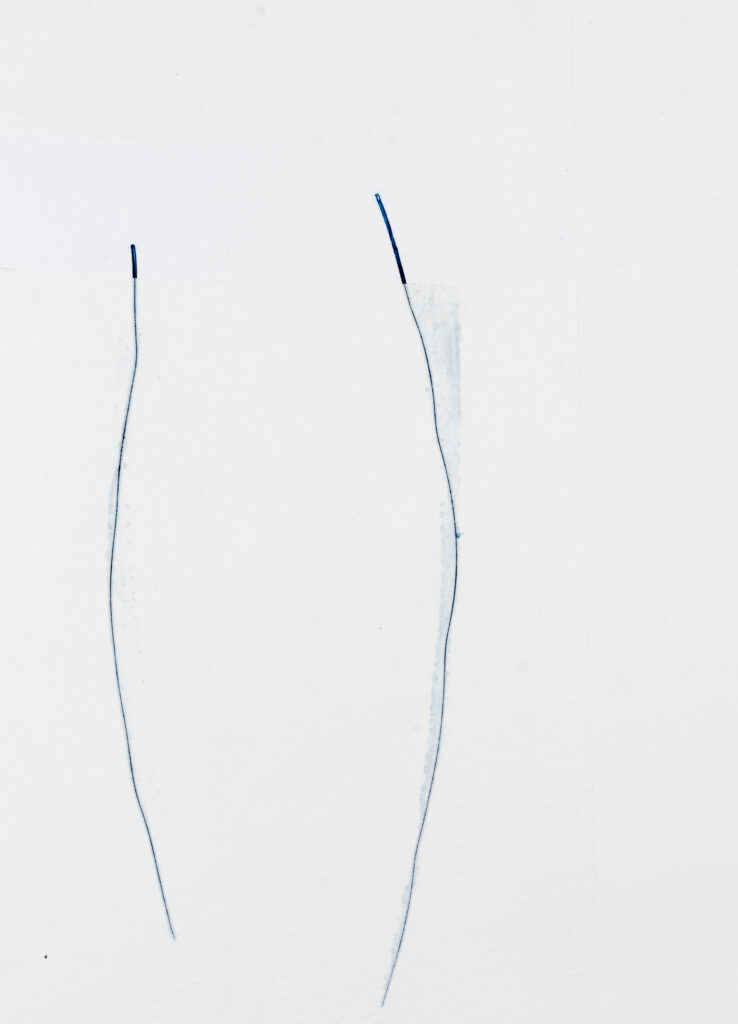 Miriam Salamander weiße Collage mit zwei blauen Linien im Praegedruck