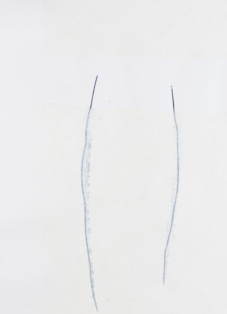 Miriam Salamander weiße Collage mit zwei blauen Linien im Praegedruck