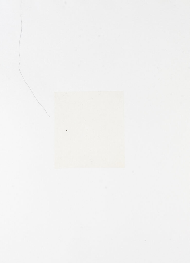 Miriam Salamander, Line, Drawing, collage on white Paper